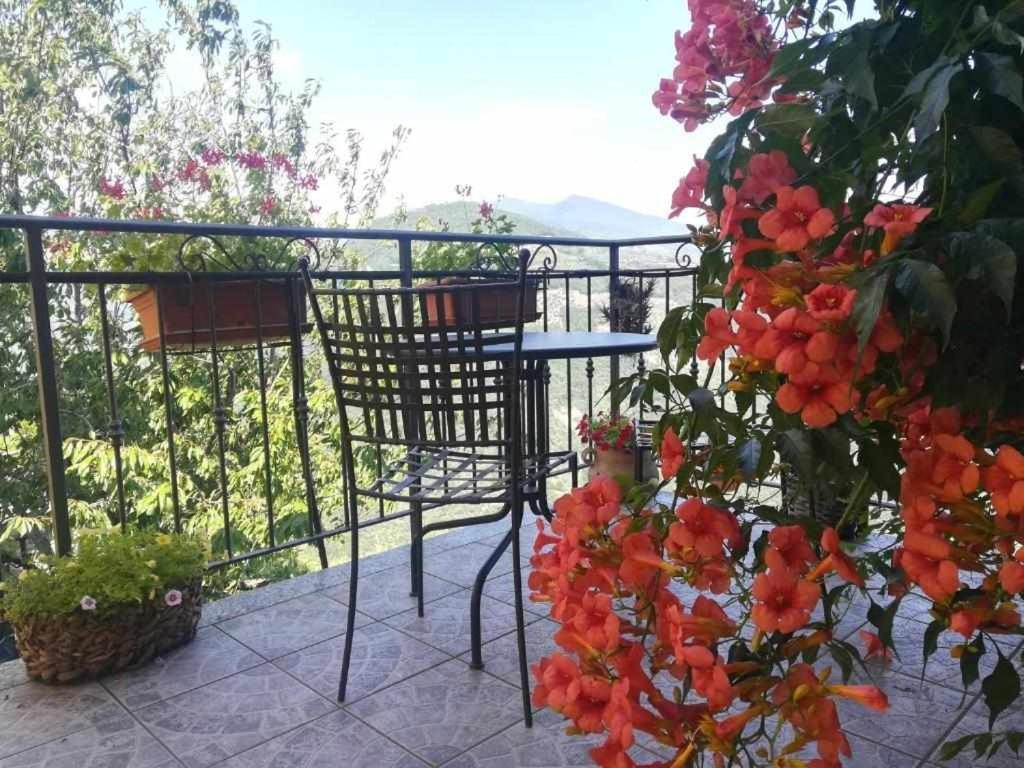 Agriturismo Al Pagan Pigna Exterior photo